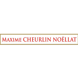 Maxime Cheurlin Noellat