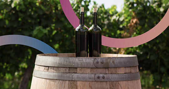 Недорогие вина с высоким рейтингом