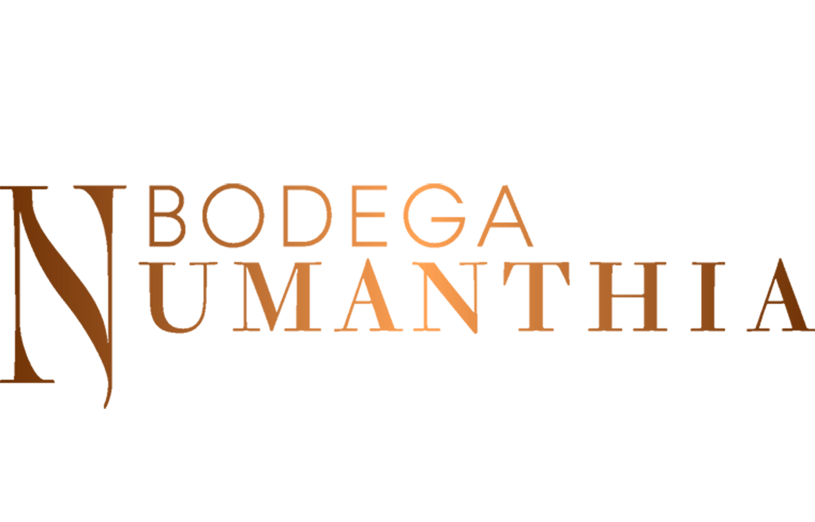 Bodega Numanthia