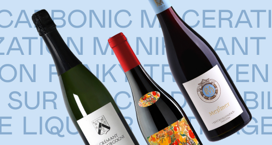 Винный словарь: 7 ключевых терминов, с которыми вы будете звучать как профи