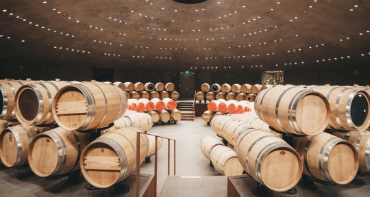 Новые имена в российском виноделии