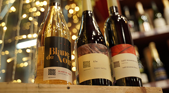 Вина Земли Обетованной