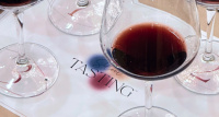 AST Silent Tasting в Петербурге